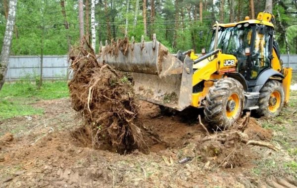 Удаление пней и корчевание вручную и со спецтехникой - Черкесск, цены, предложения специалистов