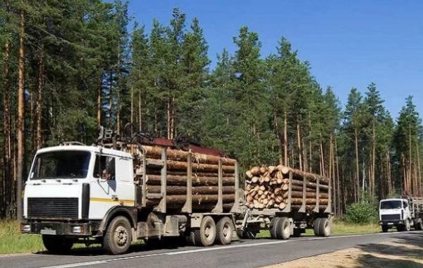 Лесовозы для перевозки леса, аренда и услуги. - Черкесск, заказать или взять в аренду