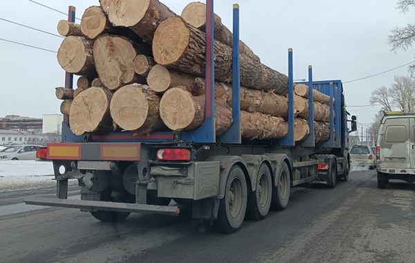 Поиск транспорта для перевозки леса, бревен и кругляка - Черкесск, цены, предложения специалистов