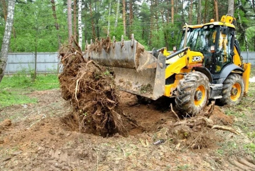 Удаление пней и корчевание вручную и со спецтехникой стоимость услуг и где заказать - Черкесск